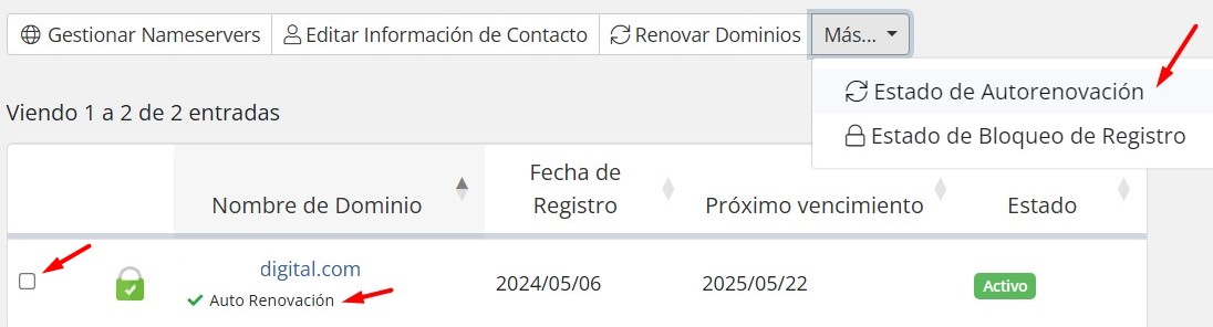 Dominio renovación